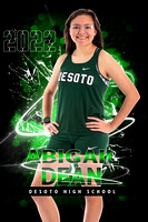 Desoto Spring banners