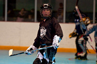 Hawks hockey Jan 15 2011